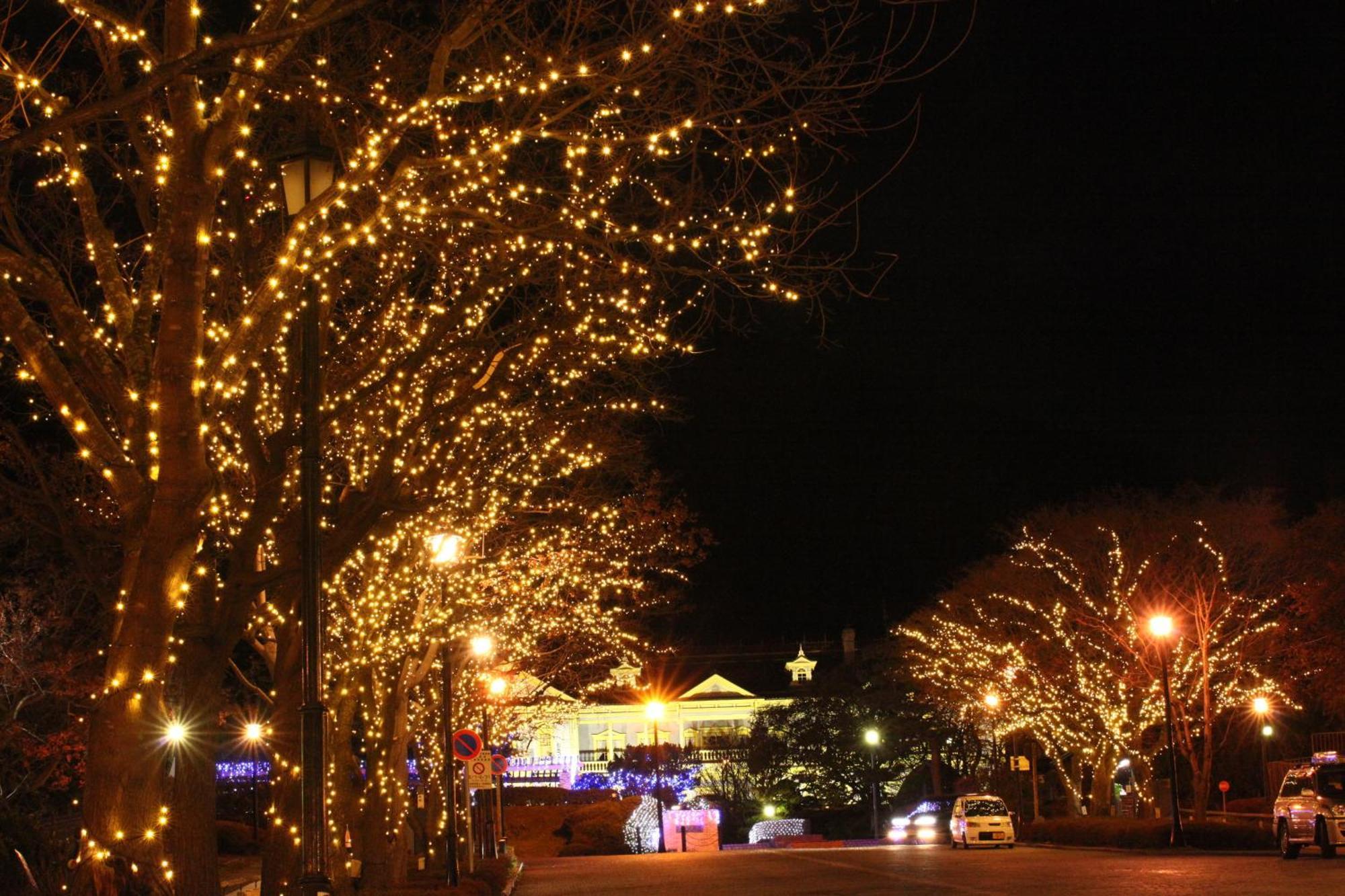 Hakodate Kokusai Hotel Εξωτερικό φωτογραφία